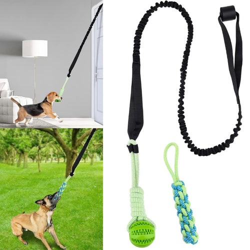 TugTail™ Interactive Spring Toy for Indoor & Outdoor Exercise - Moiasun