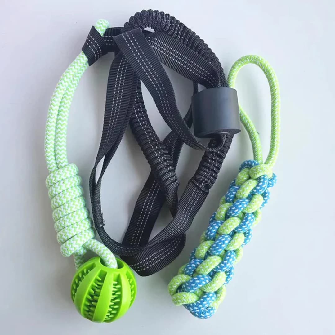 TugTail™ Interactive Spring Toy for Indoor & Outdoor Exercise - Moiasun