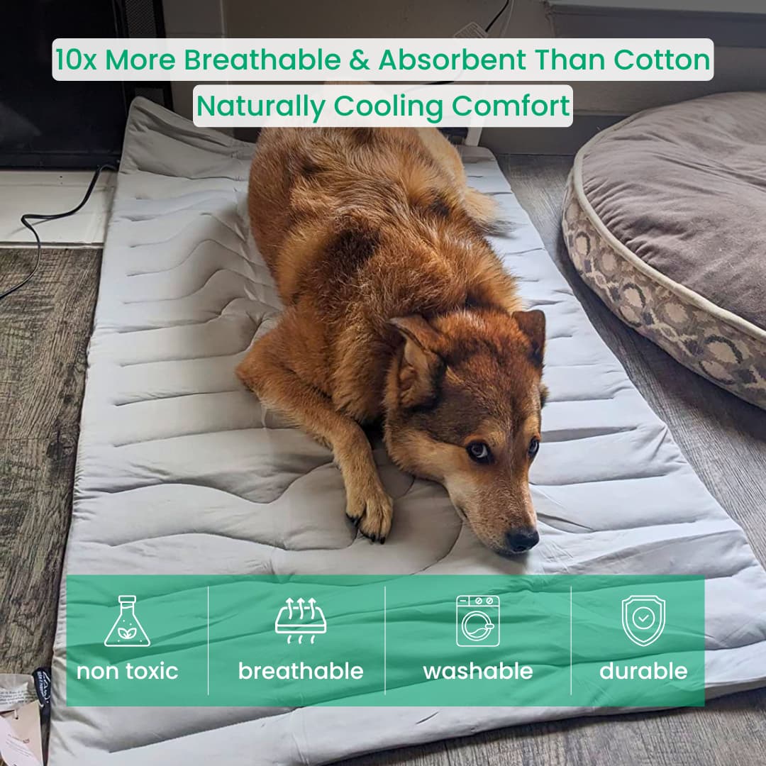 CoolTail™ Chill & Cozy Dog Mat