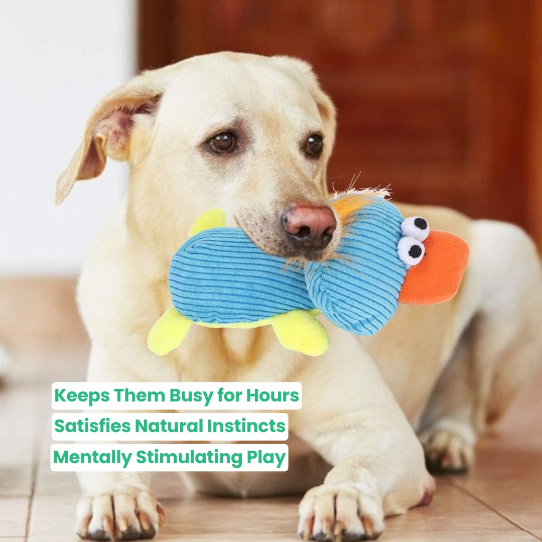 CrunchPals™ Crinkle & Squeak Animal Toy Set - Moiasun