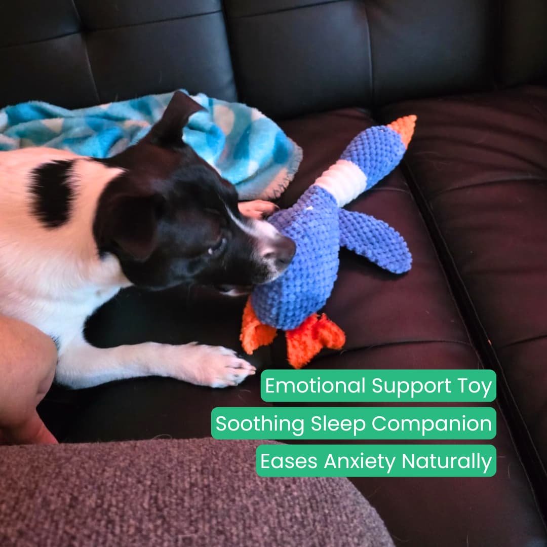 TuffDuckie™ Built Tough for Every Pup - Moiasun