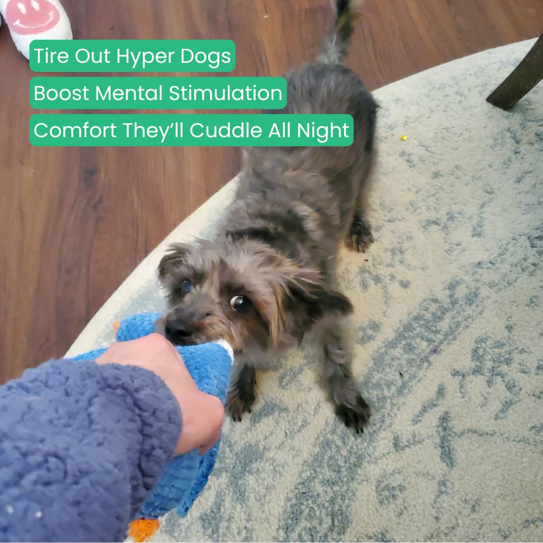 TuffDuckie™ Built Tough for Every Pup - Moiasun