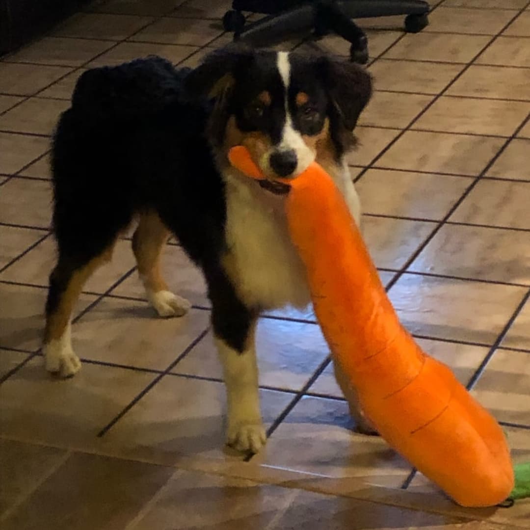 CuddleCarrot™ Giant Carrot Plush Toy - Moiasun