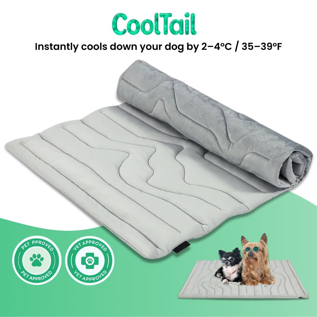 CoolTail™ Chill & Cozy Dog Mat