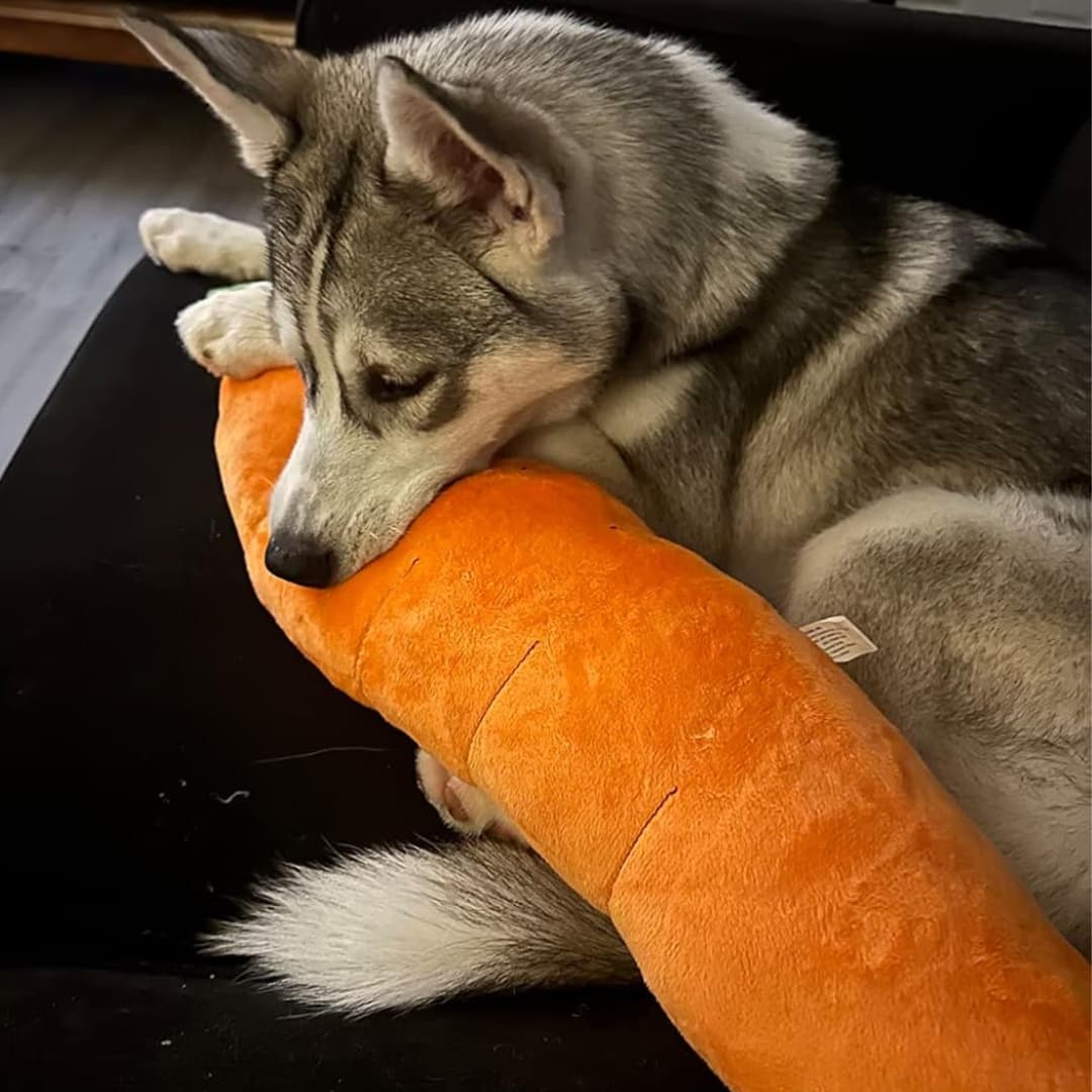 CuddleCarrot™ Giant Carrot Plush Toy - Moiasun