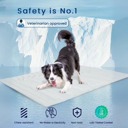 CoolTail™ Chill & Cozy Dog Mat