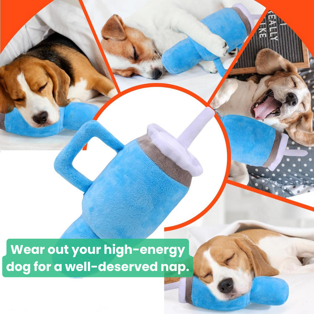 CUPPUP™ COMFORT CUP DOG TOY - Moiasun