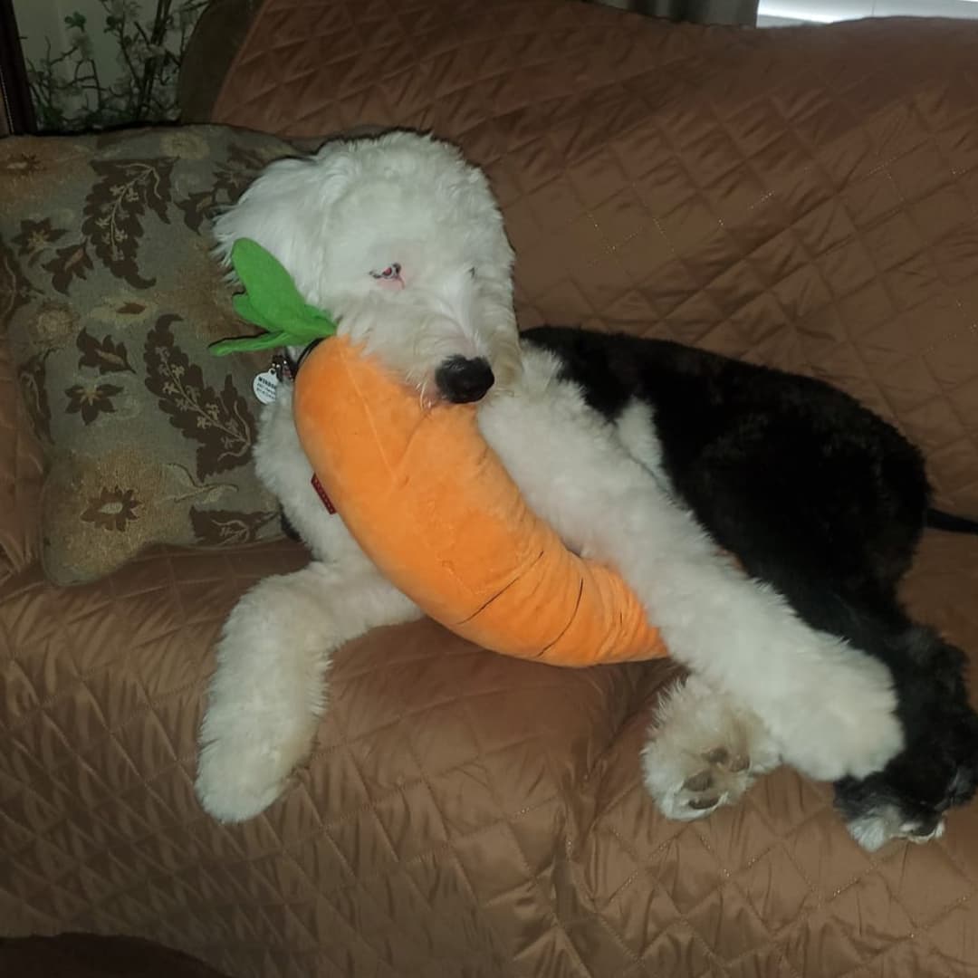 CuddleCarrot™ Giant Carrot Plush Toy - Moiasun