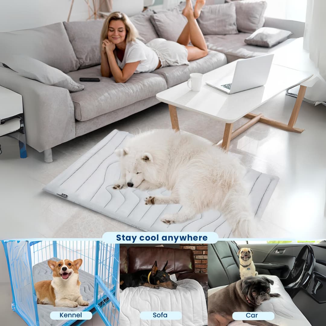 CoolTail™ Chill & Cozy Dog Mat