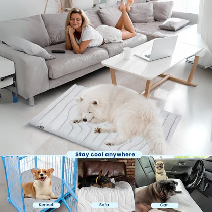 CoolTail™ Chill & Cozy Dog Mat