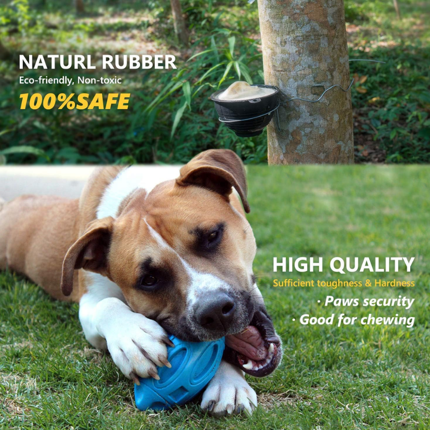 RuggedRomp™ Durable Squeak Toy - MOIASUN