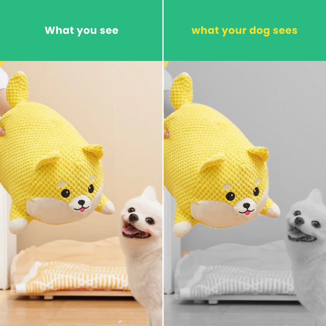 CuddleFluff™ Calming Dog Toy - Moiasun