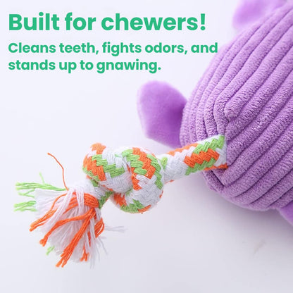 CrunchPals™ Crinkle & Squeak Animal Toy Set - Moiasun