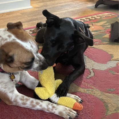 TuffDuckie™ Built Tough for Every Pup - Moiasun