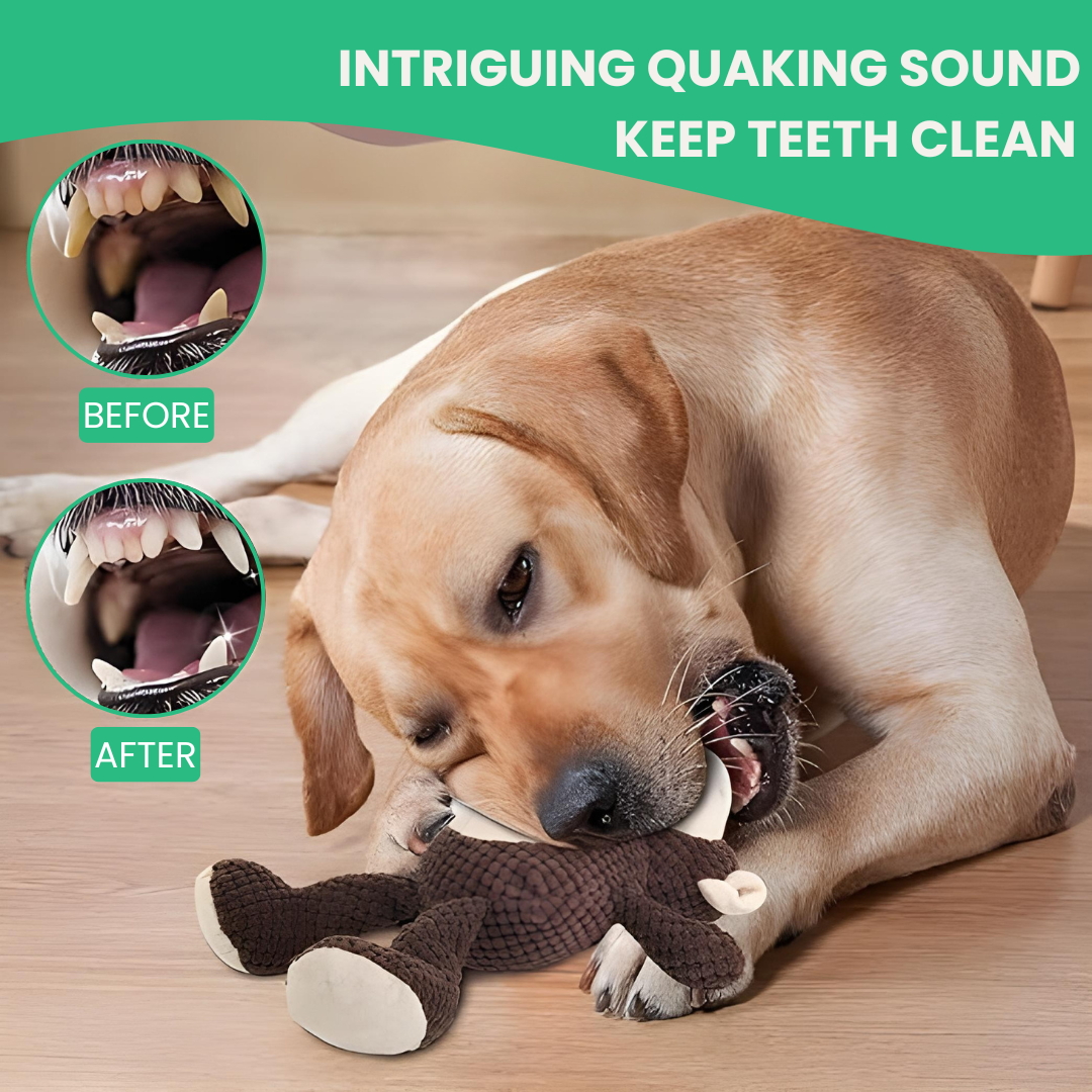 RuffRanger™ Squeaky Jungle Pal - Moiasun
