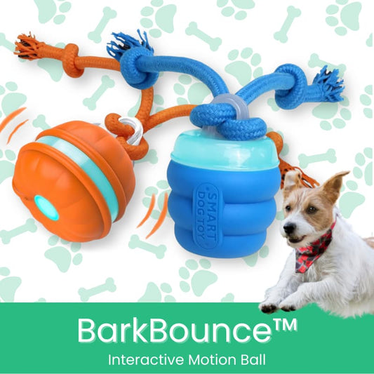 BarkBounce™ Automatic Dog Walker - Moiasun