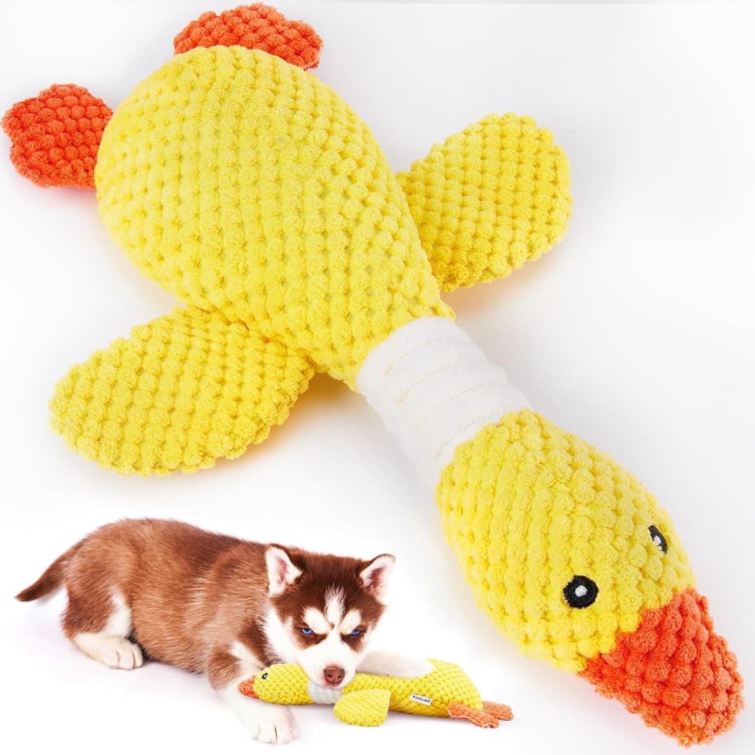 TuffDuckie™ Built Tough for Every Pup - Moiasun
